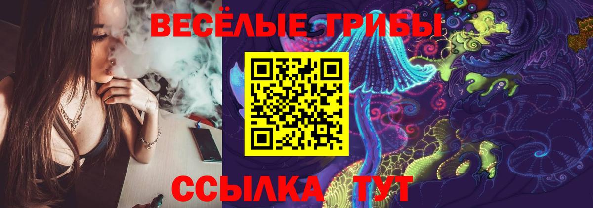 Псилоцибиновые грибы прущие грибы  Вход с VPN  Протвино  Псилоцибиновые грибы Psilocybine cubensis 
