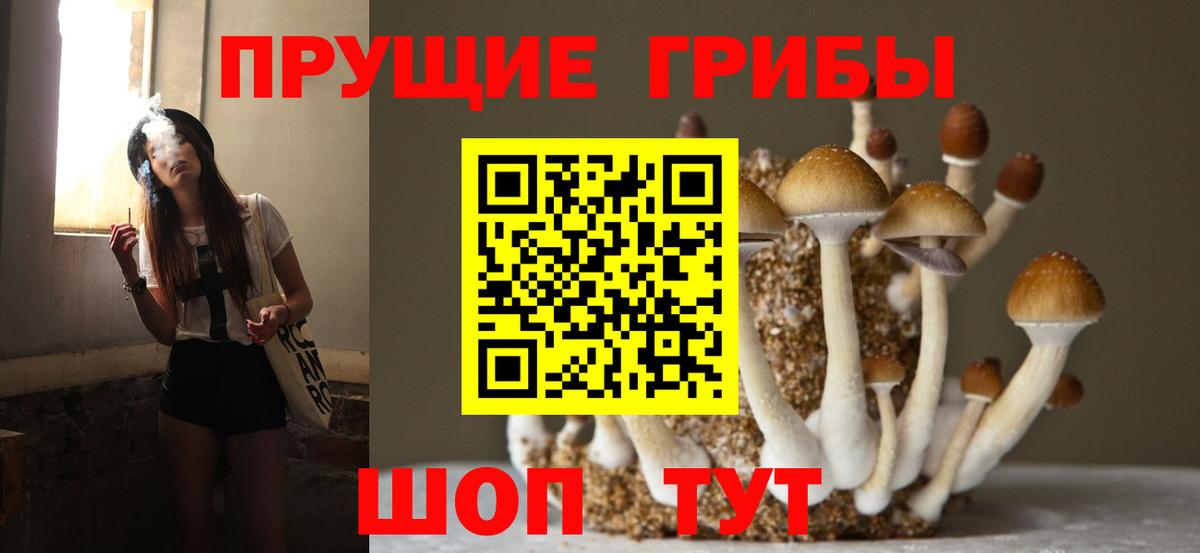 Галлюциногенные грибы мухоморы Протвино